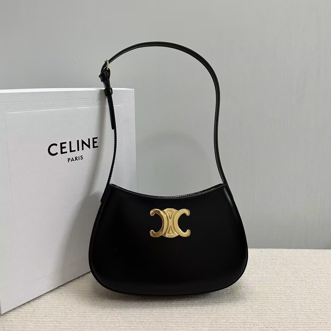 Celine MEDIUM TILLY BAG in shiny calfskin 22x13.5x4cm