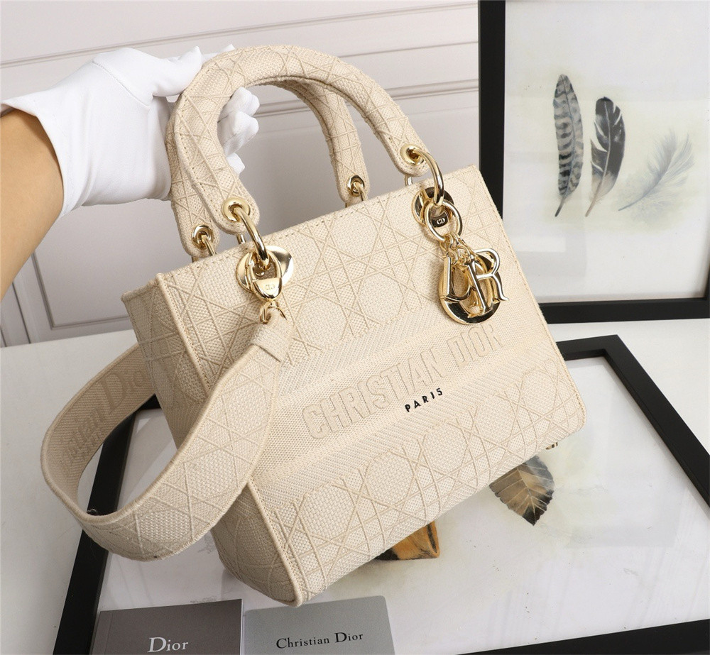 DIOR LADY D-LITE