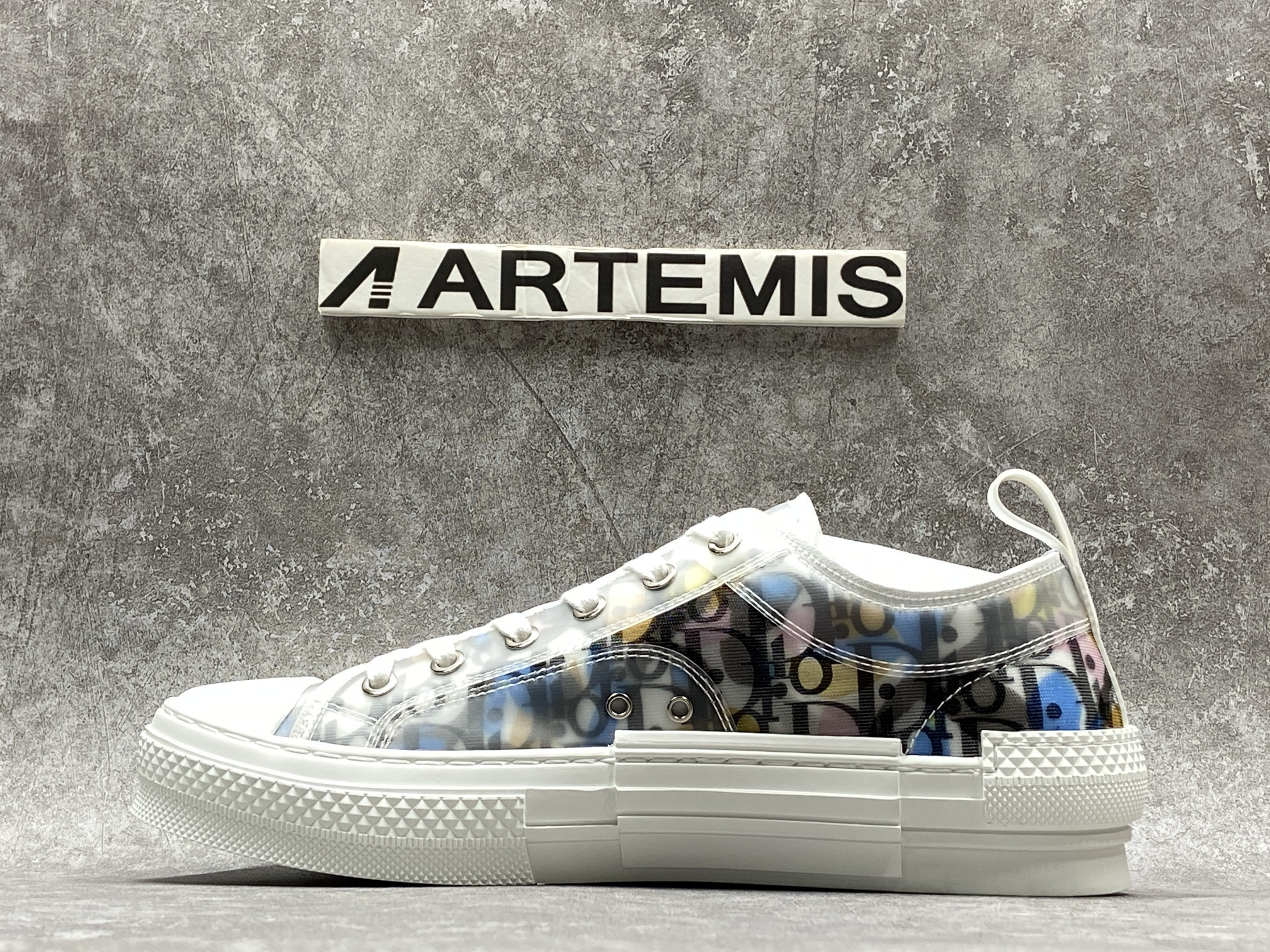 Dior B23 Low Top Alex Foxton Oblique