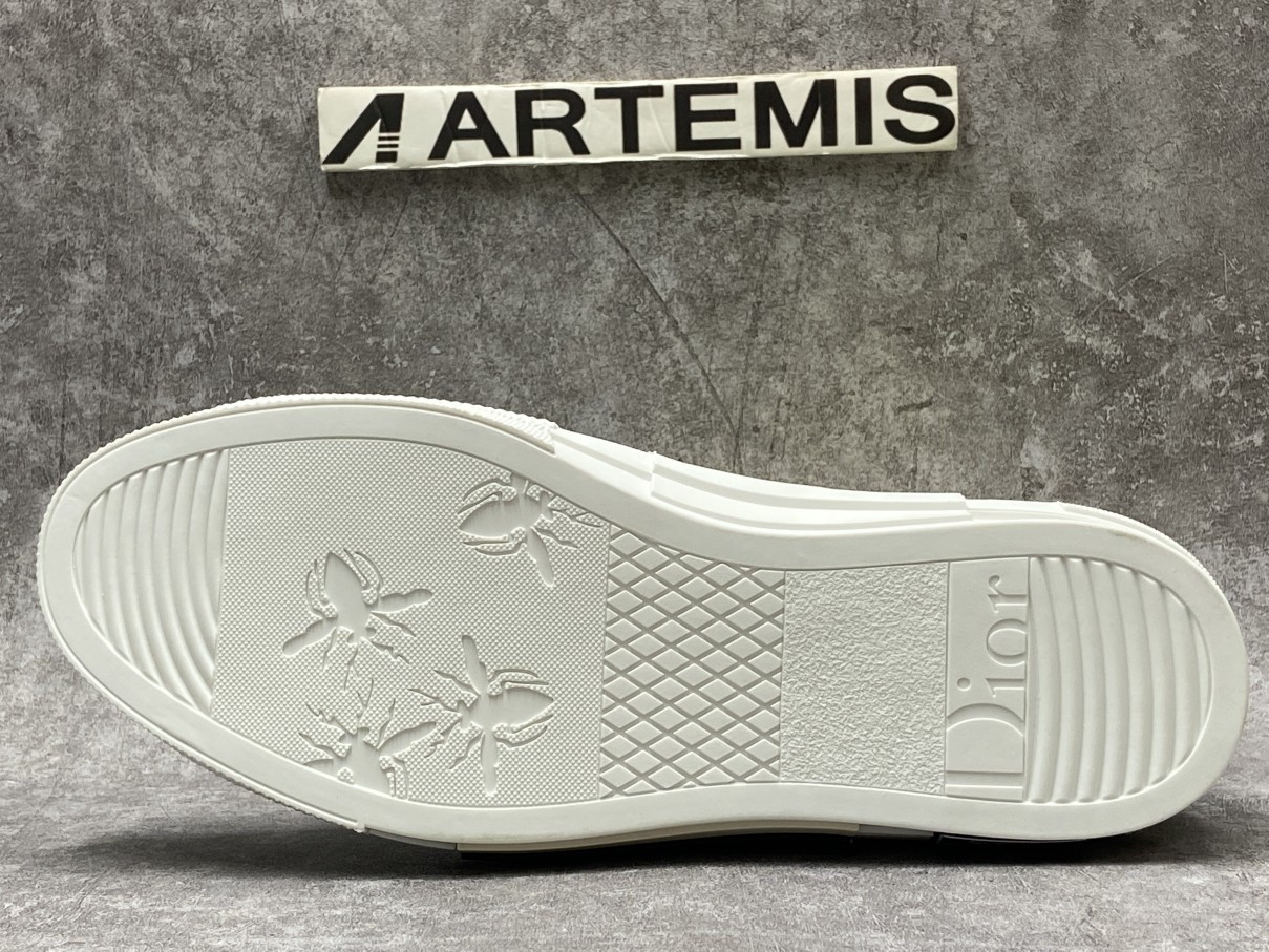 Dior And Shawn B23 High Top