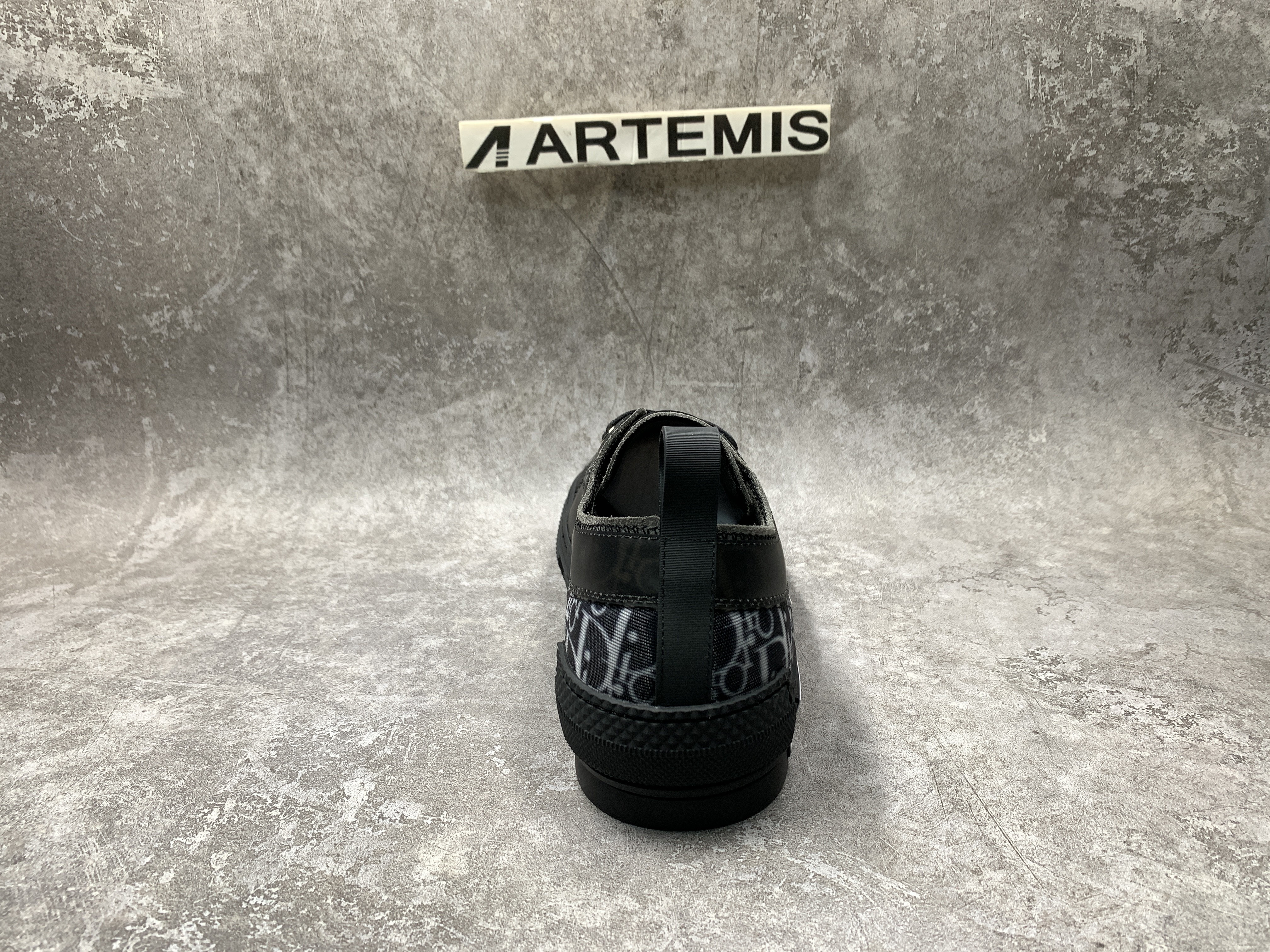 Dior B23 Low Top Canvas Oblique Black