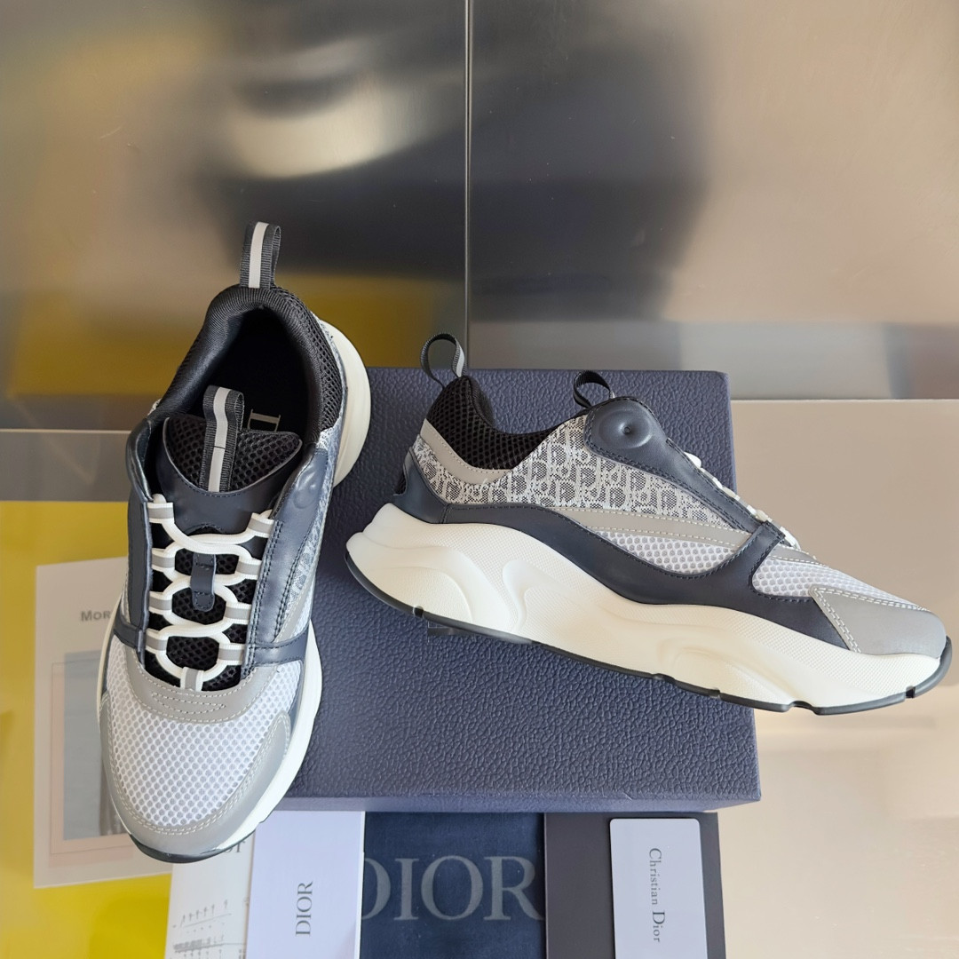 UA Dior B22 gray Sneaker