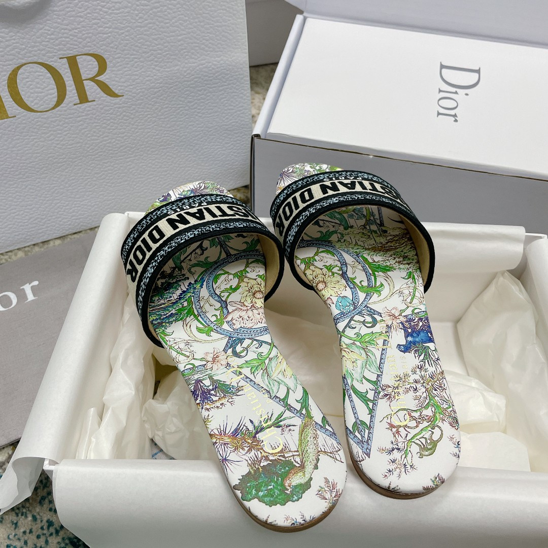 UA DIOR Dway Slide