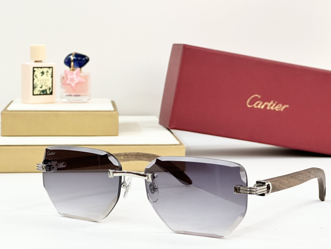 Cartier Glasses PARIS CT0620S
