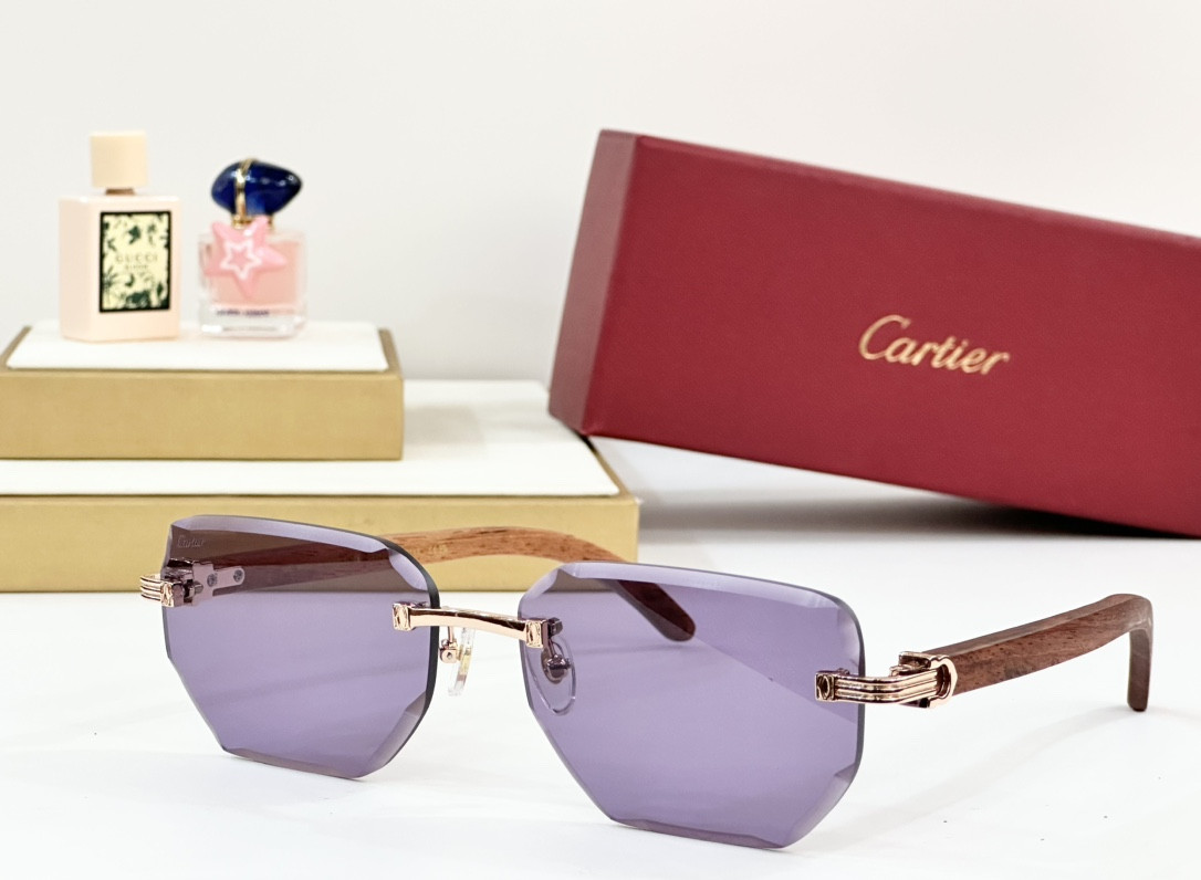 Cartier Glasses PARIS CT0620S