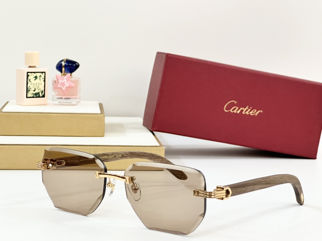 Cartier Glasses PARIS CT0620S