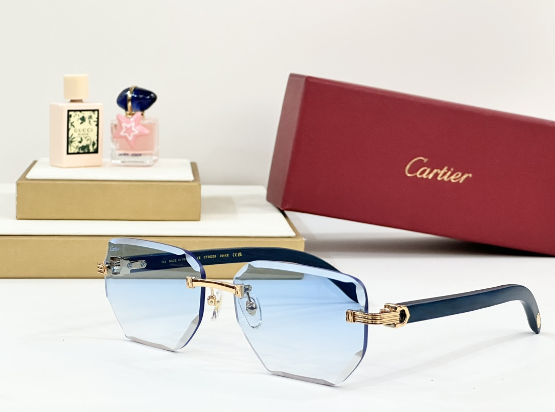 Cartier Glasses PARIS CT0620S