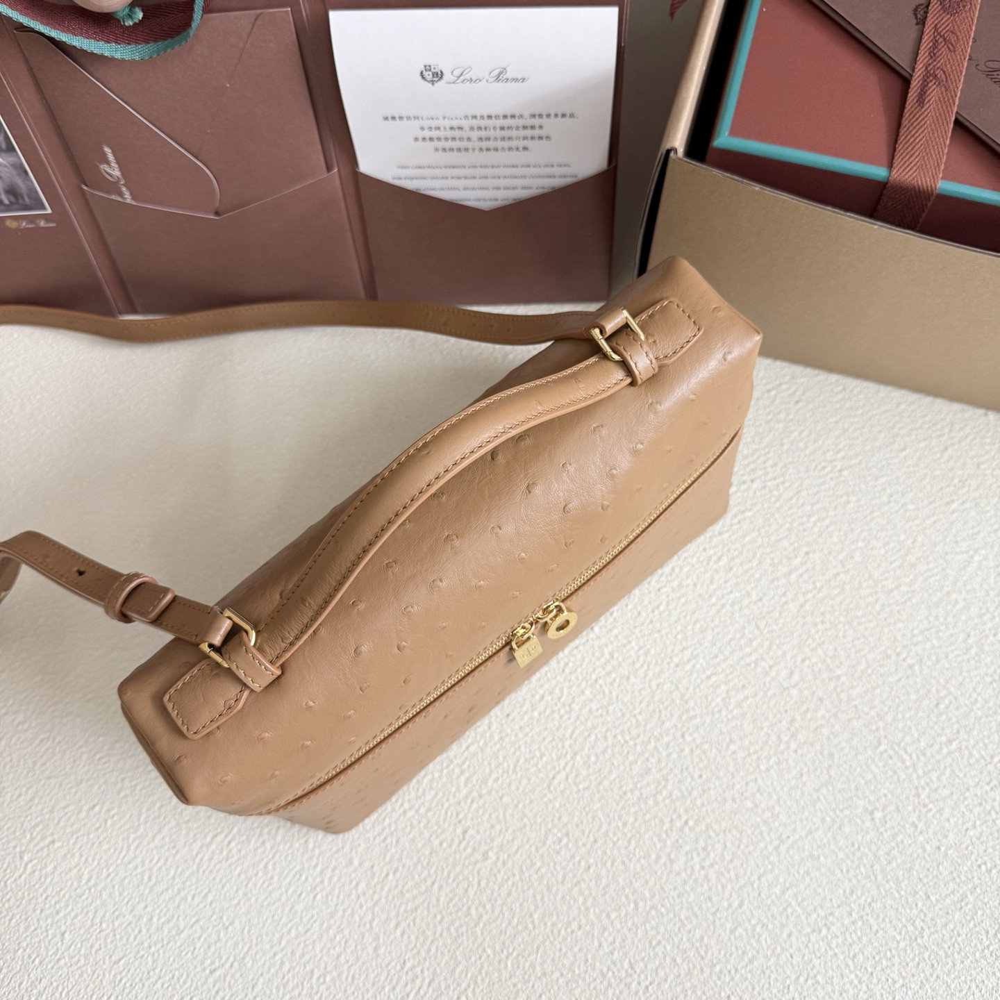 Loro Piana Extra Pocket L27 Ostrich-grained Leather 16x27x10cm